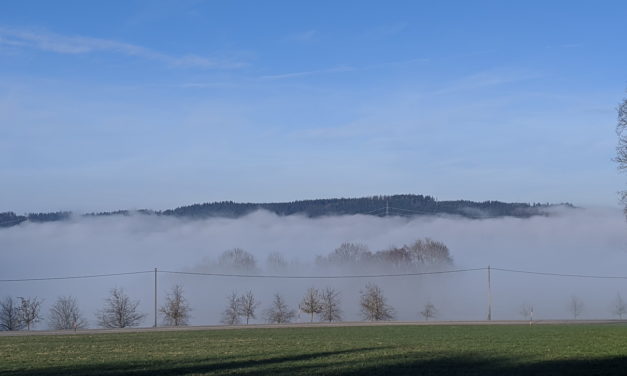 Nebel und Sonne im Jänner