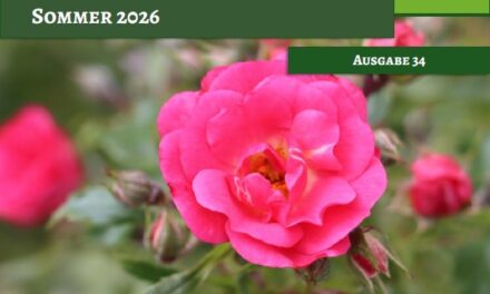 Sommerpfarrblatt 2026 erschienen