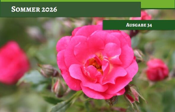 Sommerpfarrblatt 2026 erschienen